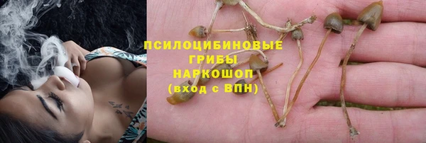 гидра Алзамай