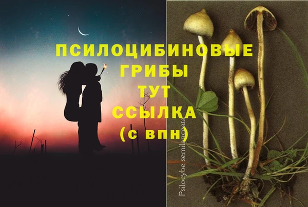 гидра Алзамай