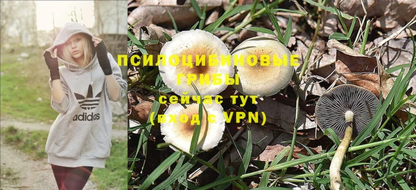 гидра Алзамай