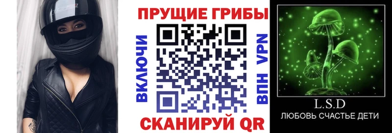 Псилоцибиновые грибы Psilocybe  гидра ссылки  Новосиль 