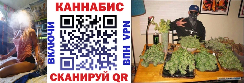 МАРИХУАНА индика Новосиль